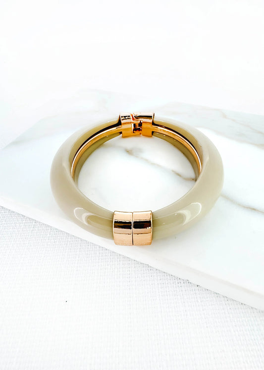 Envy Gold and Taupe Resin Hinged Bangle
